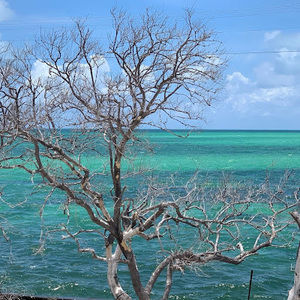 Meet your Posher, Kellie